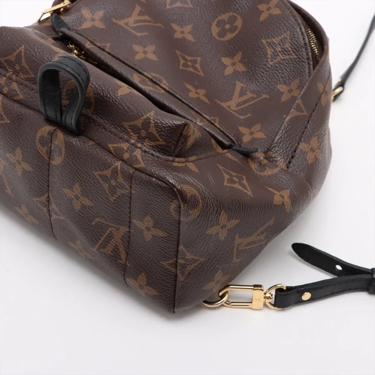 Louis Vuitton Monogram Palm Springs Mini Backpack