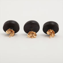 Load image into Gallery viewer, Louis Vuitton Sylvania Tigerwood Stud Earring