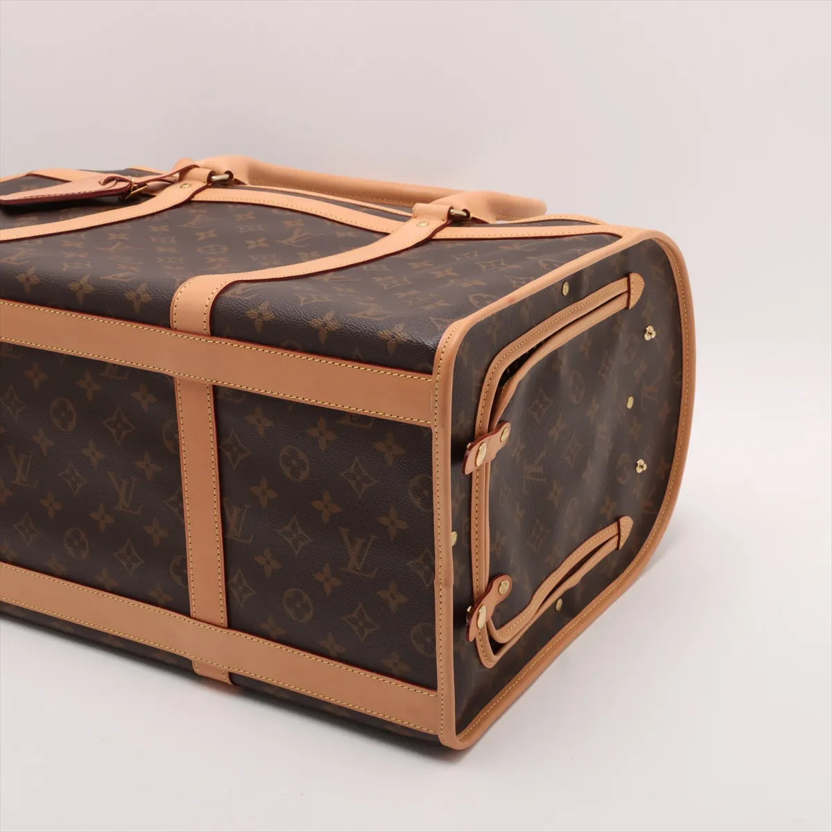 Louis Vuitton Monogram Dog Bag