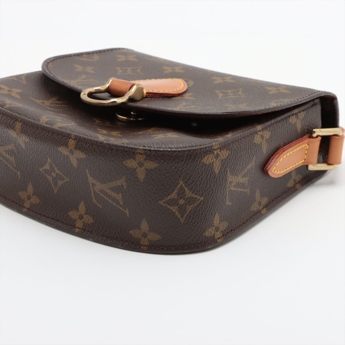 Louis Vuitton Monogram Mini Saint Cloud