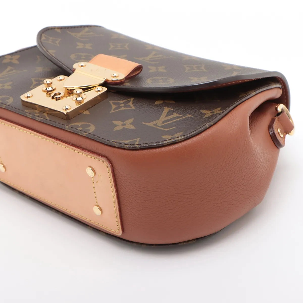 Louis Vuitton Monogram x Taurillon Eden PM Brown