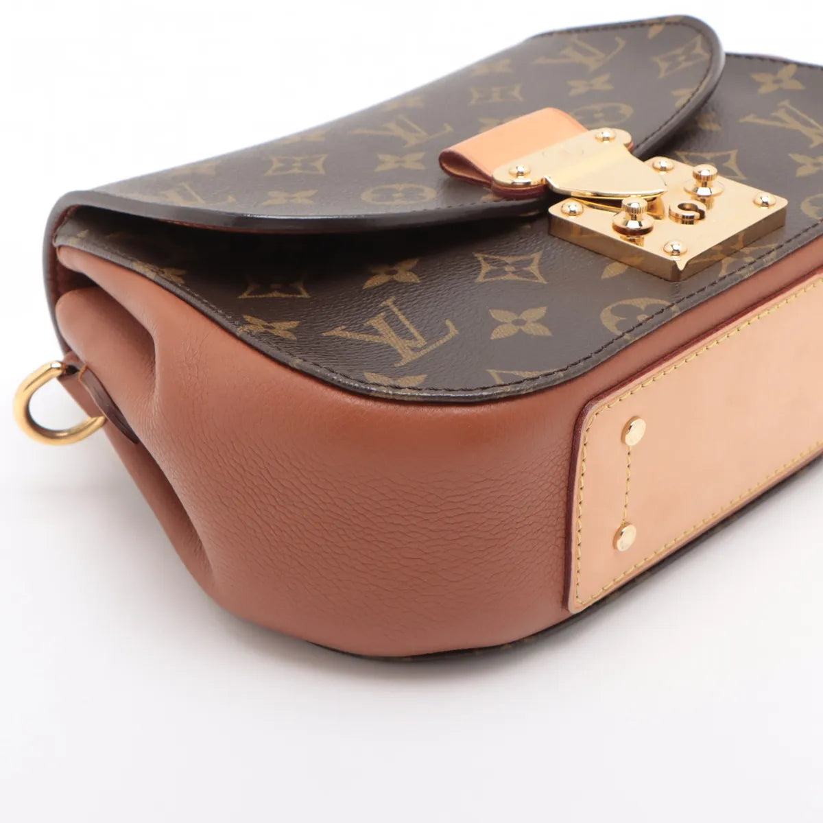 Louis Vuitton Monogram x Taurillon Eden PM Brown