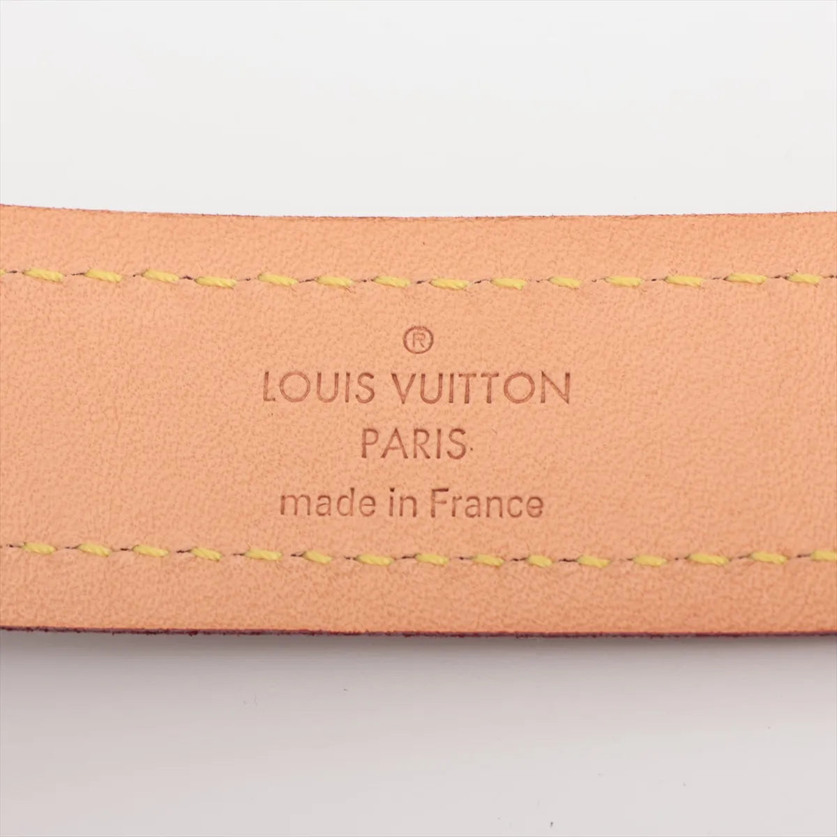 Louis Vuitton Monogram Collier Baxter MM