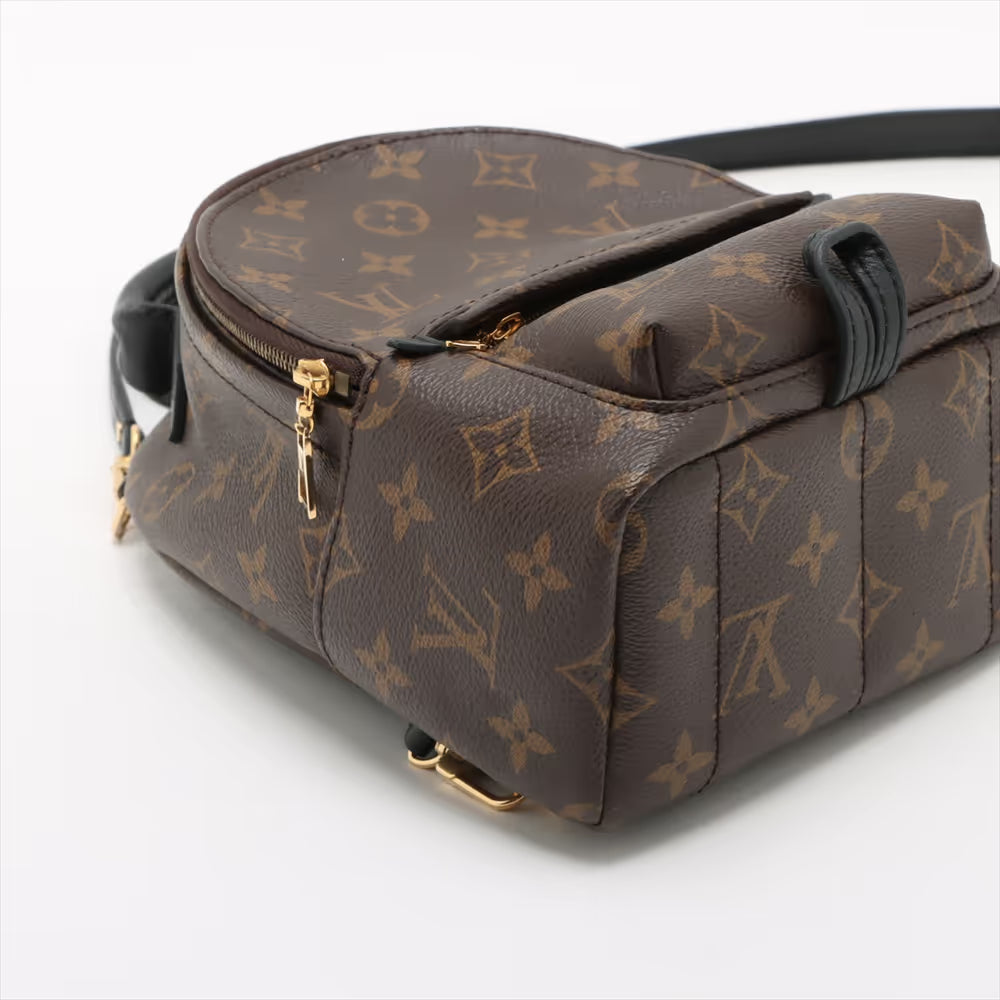 Louis Vuitton Monogram Palm Springs Mini Backpack