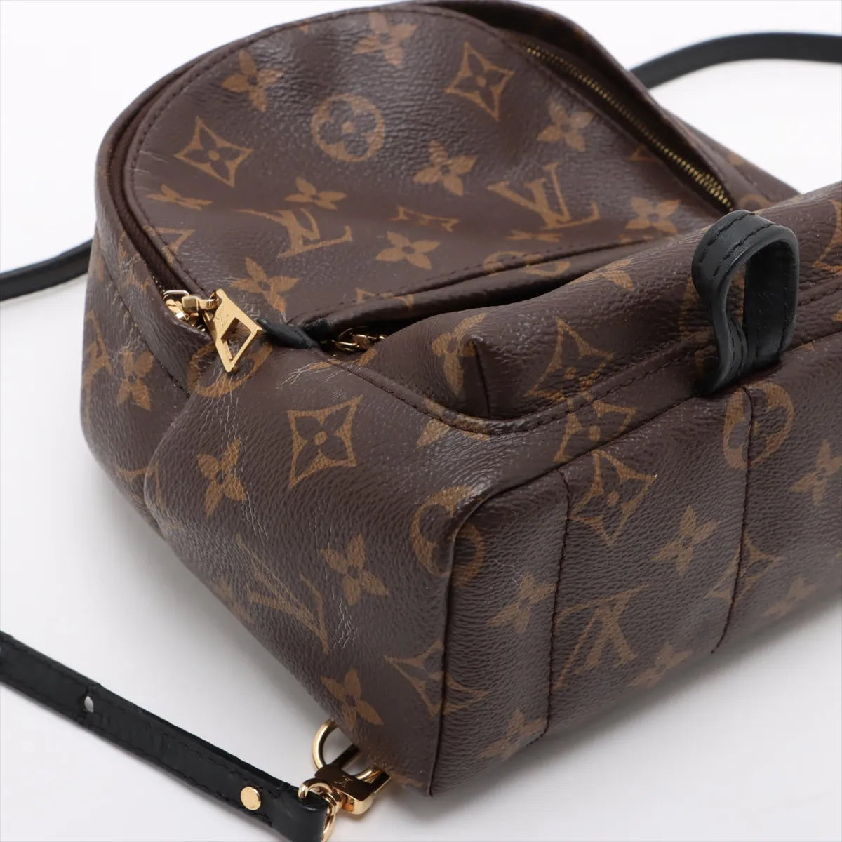Louis Vuitton Monogram Palm Springs Mini Backpack