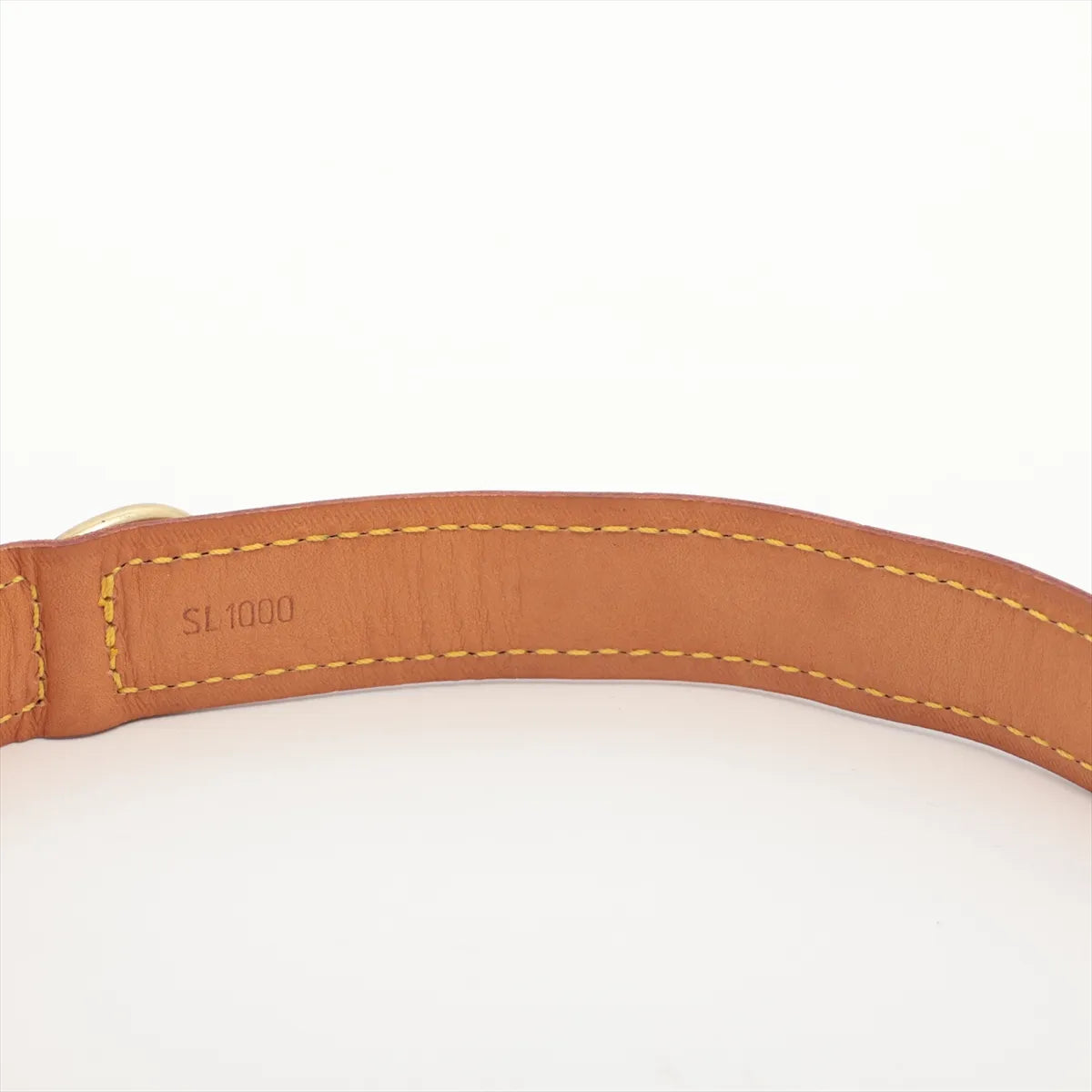 Louis Vuitton Monogram Collier Baxter PM