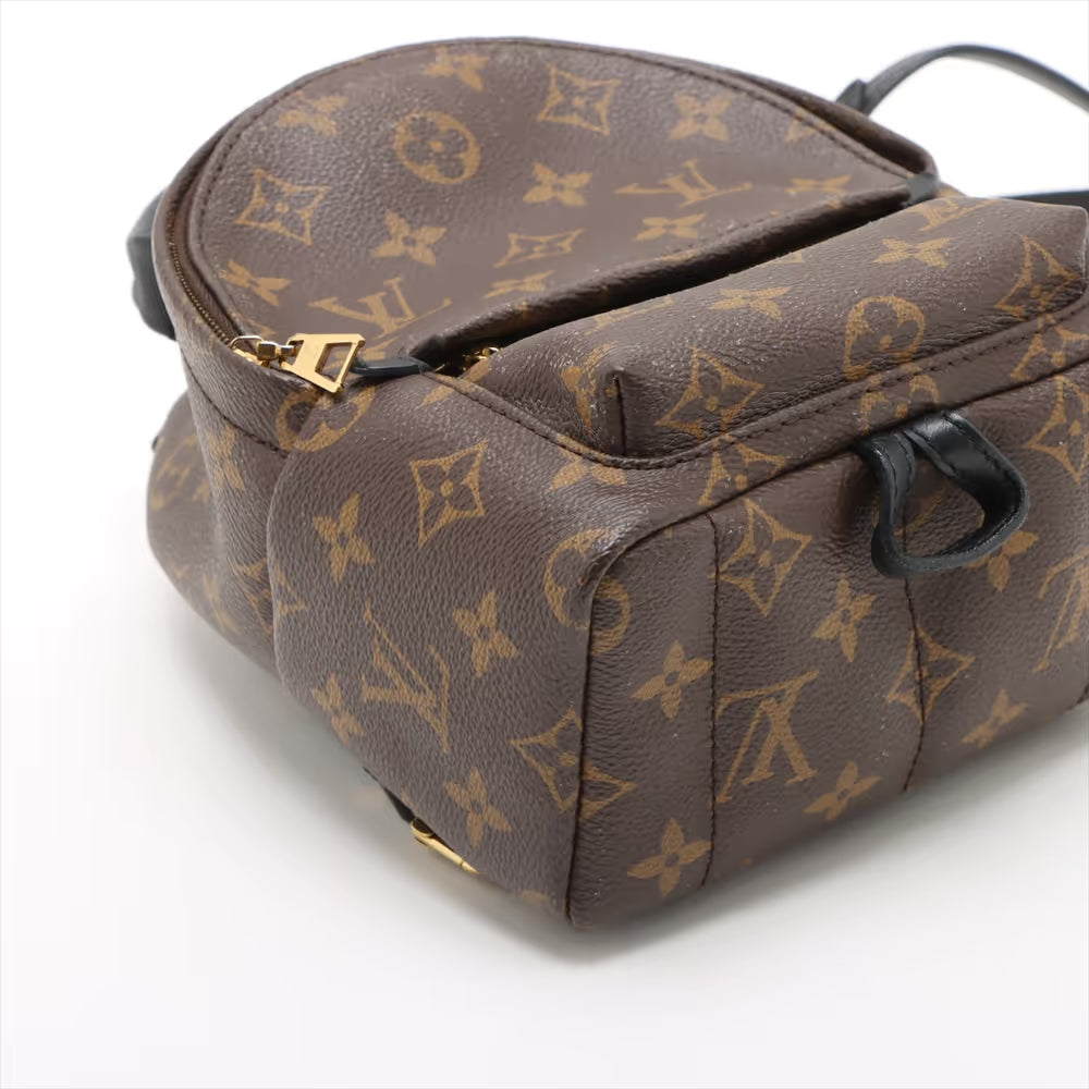 Louis Vuitton Monogram Mini Palm Springs Backpack