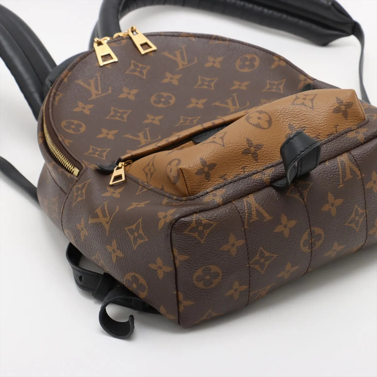 Louis Vuitton Monogram Reverse Palm Springs Backpack PM
