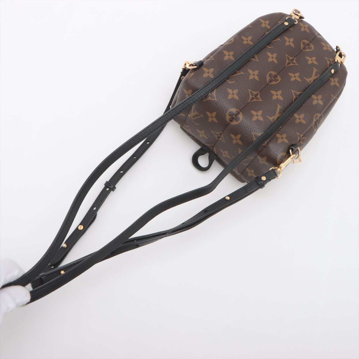 Louis Vuitton Monogram Palm Springs Mini Backpack * PREORDER *