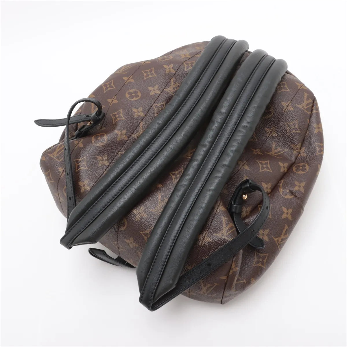 Louis Vuitton Monogram Palm Springs MM Backpack