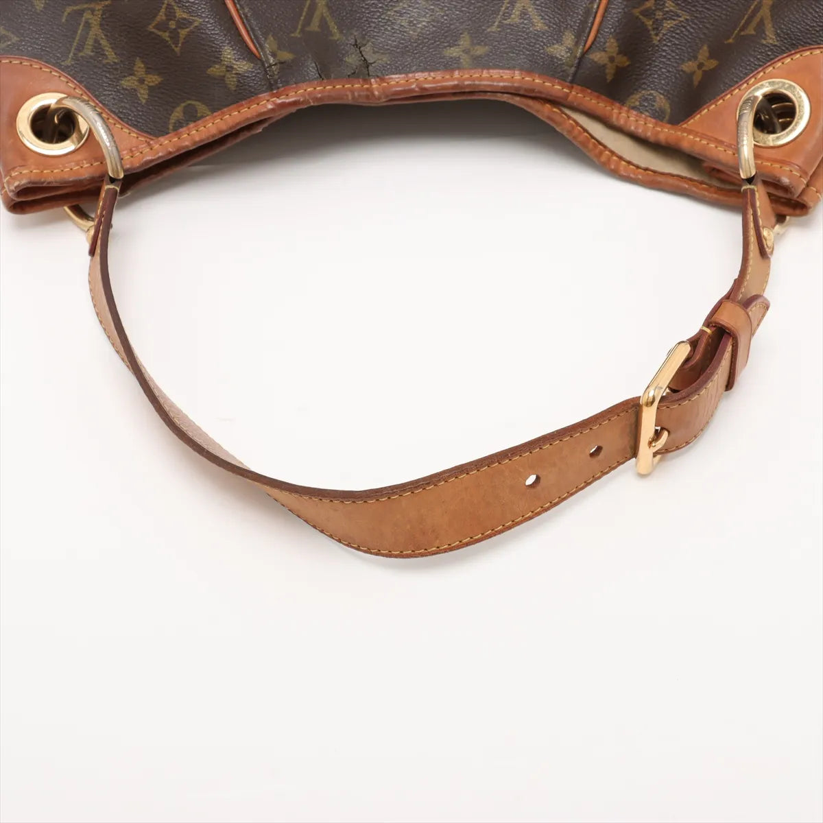 Louis Vuitton Monogram Galliera PM