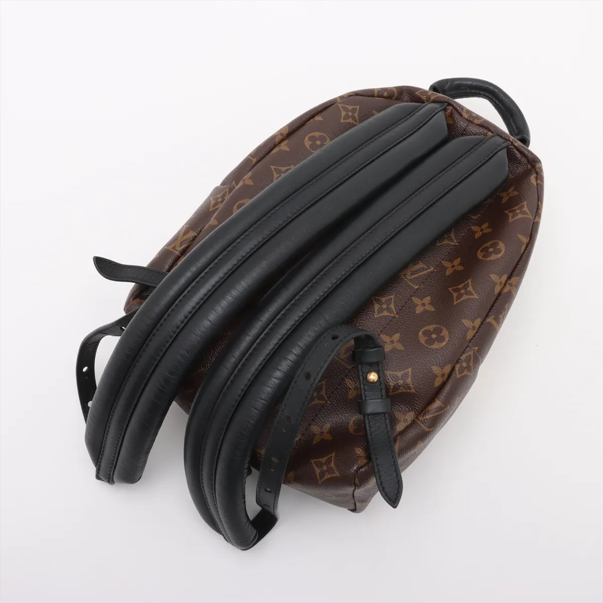 Louis Vuitton Monogram Reverse Palm Springs Backpack PM