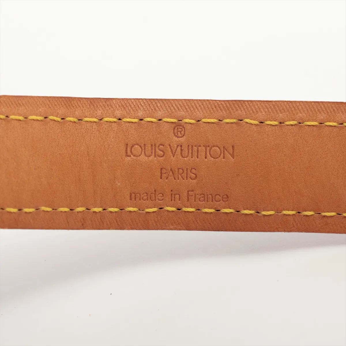 Louis Vuitton Monogram Collier Baxter PM
