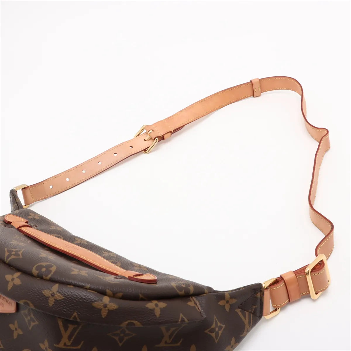 Louis Vuitton Monogram Bum Bag