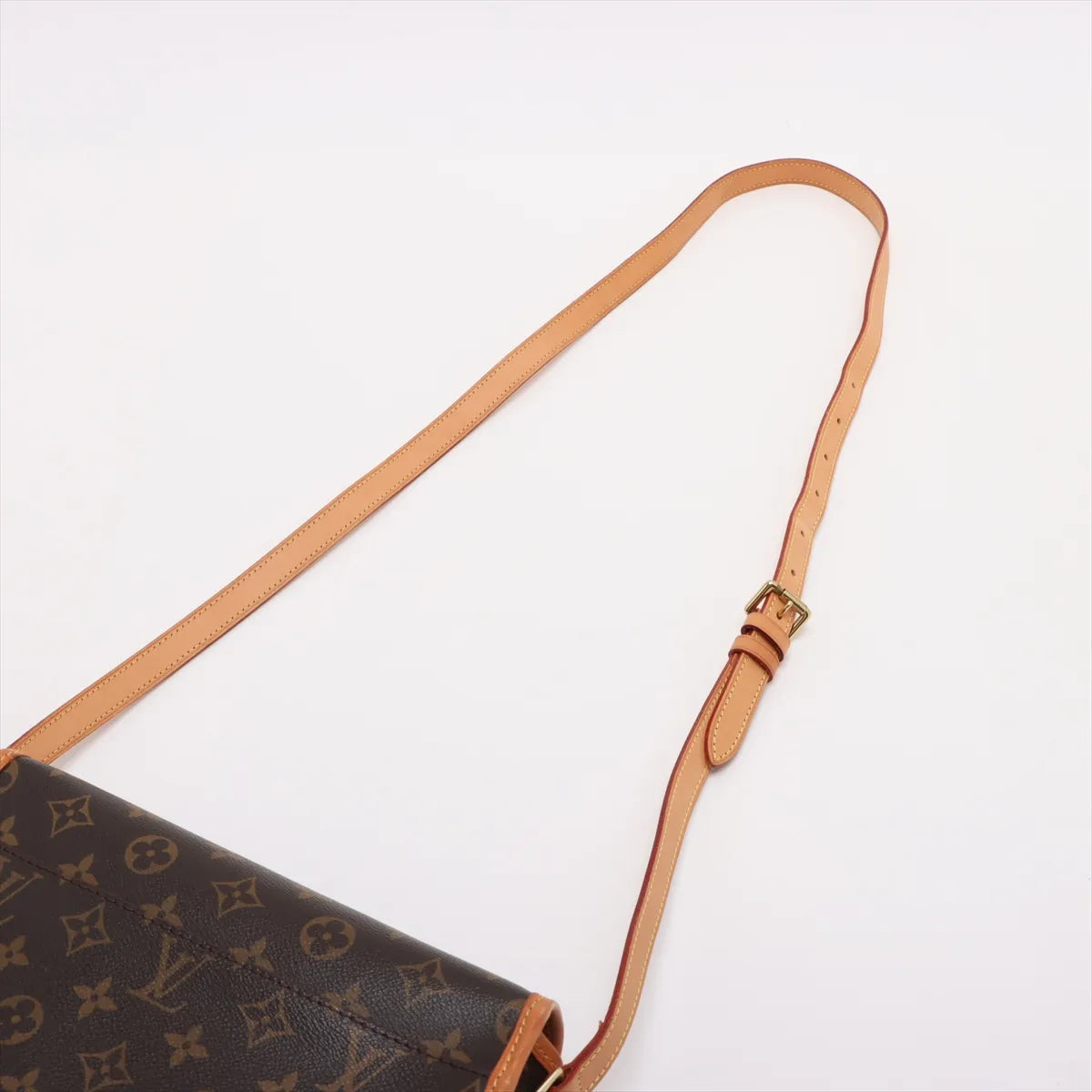 Louis Vuitton Monogram Sologne