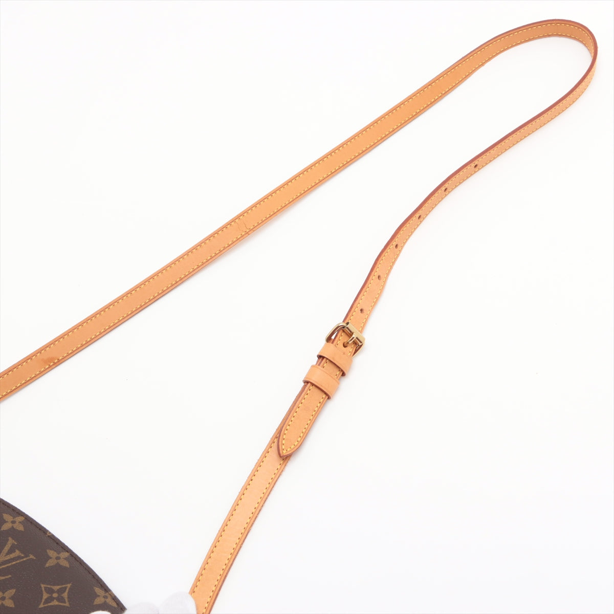 Louis Vuitton Monogram Drouot Crossbody Bag