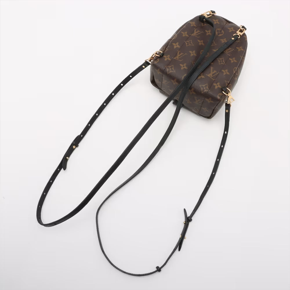 Louis Vuitton Monogram Palm Springs Mini Backpack