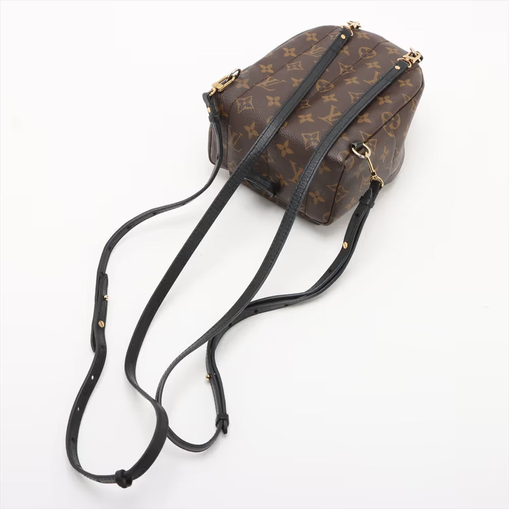 Louis Vuitton Monogram Mini Palm Springs Backpack