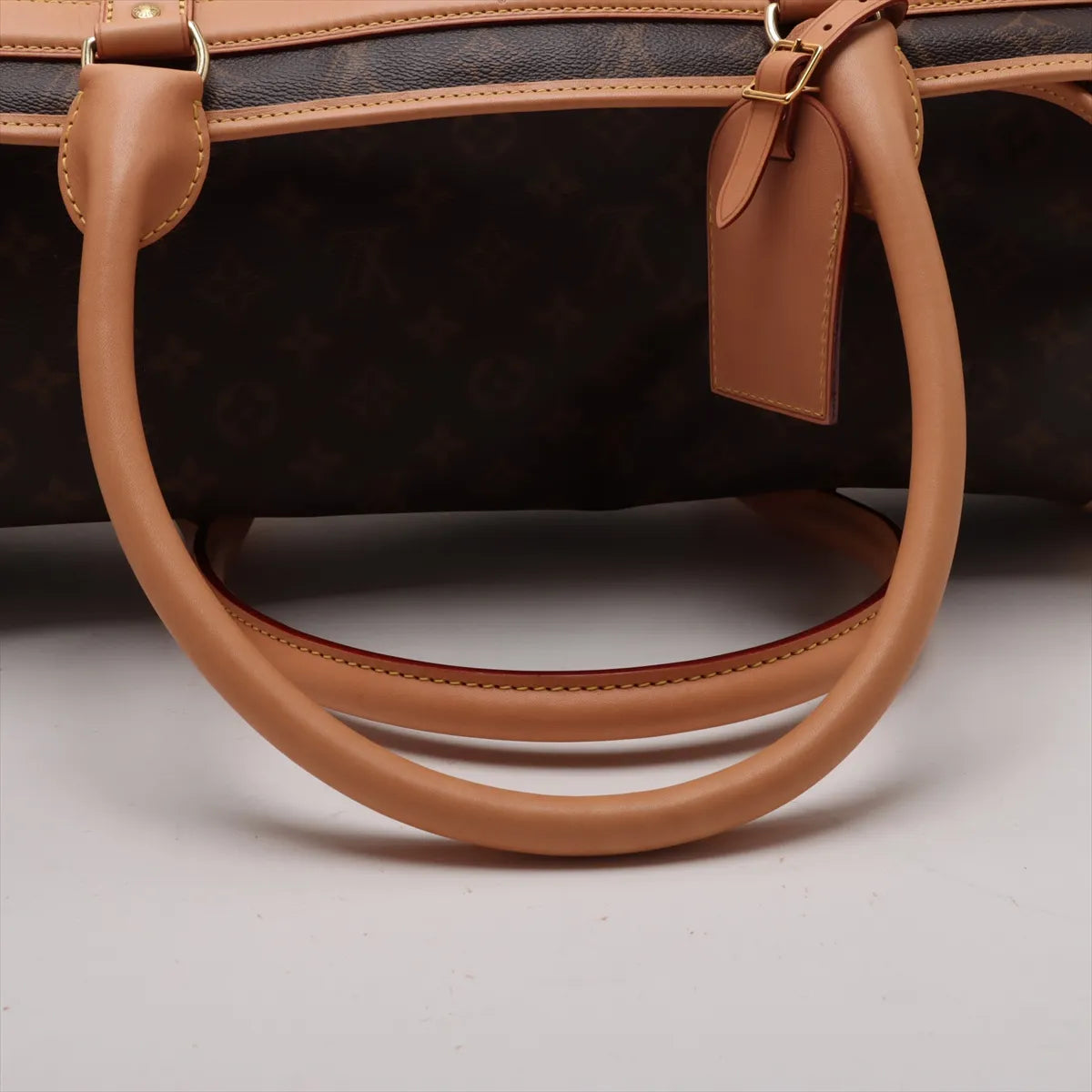 Louis Vuitton Monogram Dog Bag