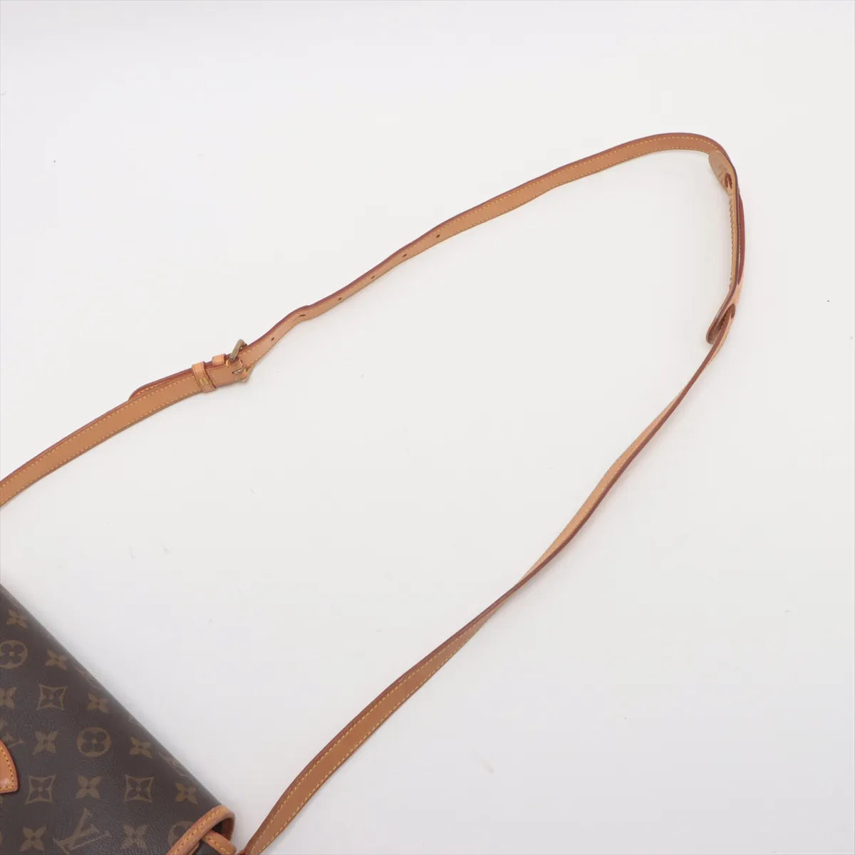 Louis Vuitton Monogram Sologne *PREORDER*