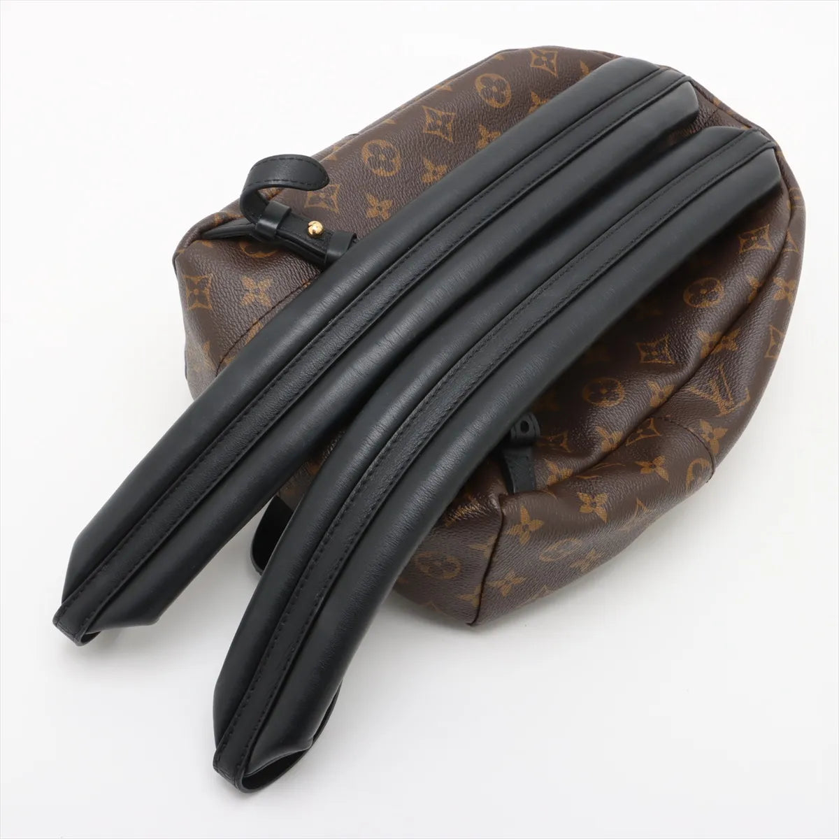 Louis Vuitton Monogram Reverse Palm Springs Backpack PM