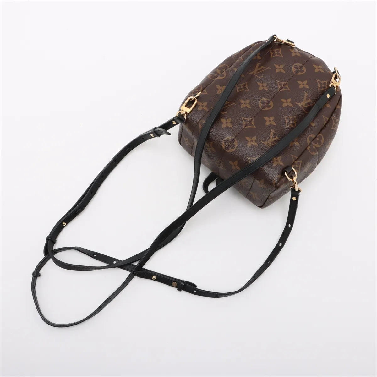 Louis Vuitton Monogram Palm Springs Mini Backpack
