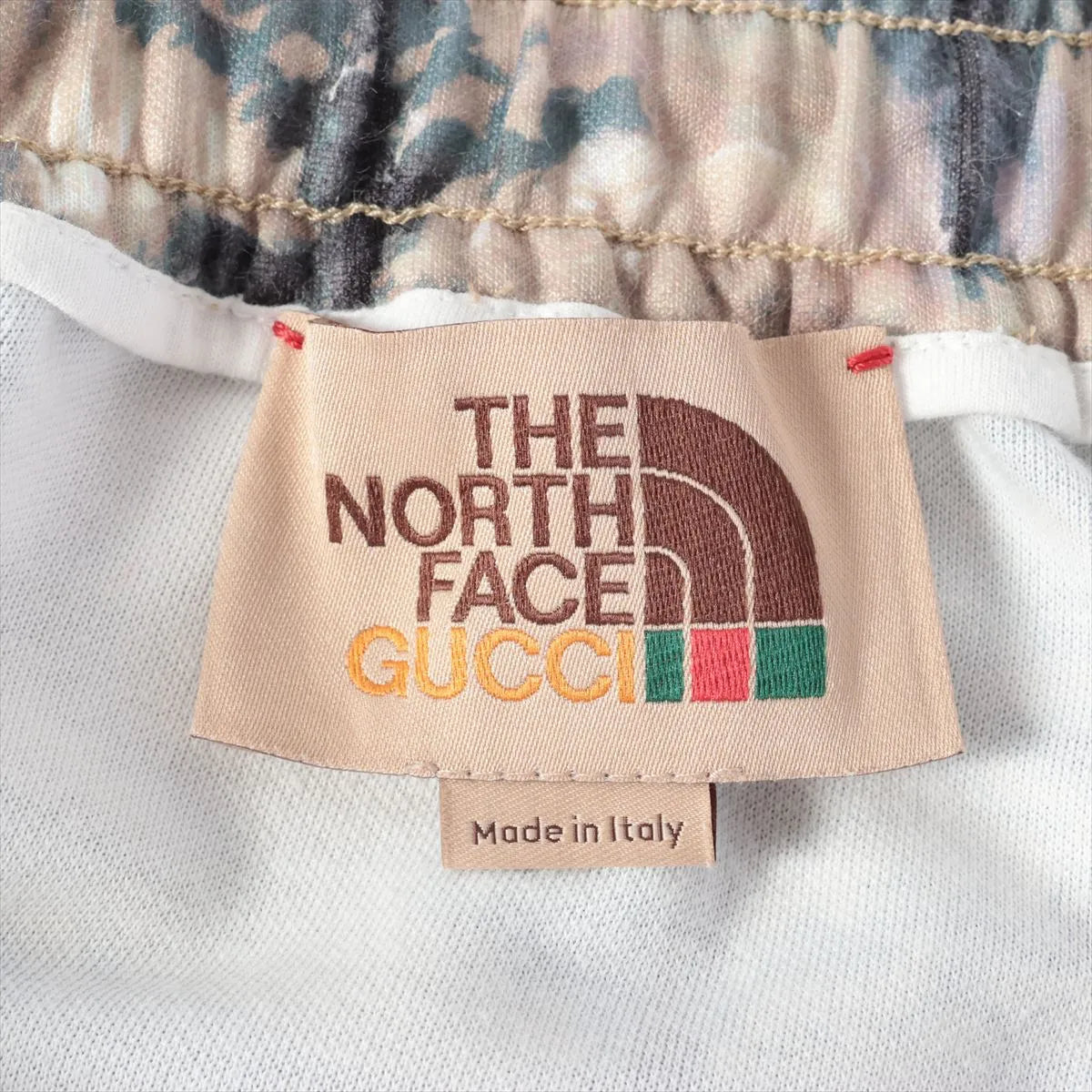 Gucci x The North Face Jogging Pants in Forest Print
