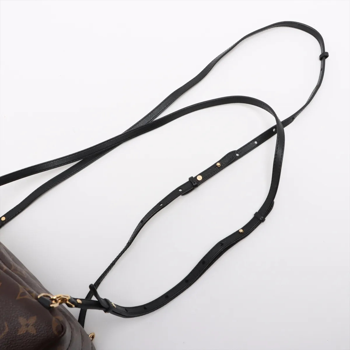 Louis Vuitton Monogram Palm Springs Mini Backpack