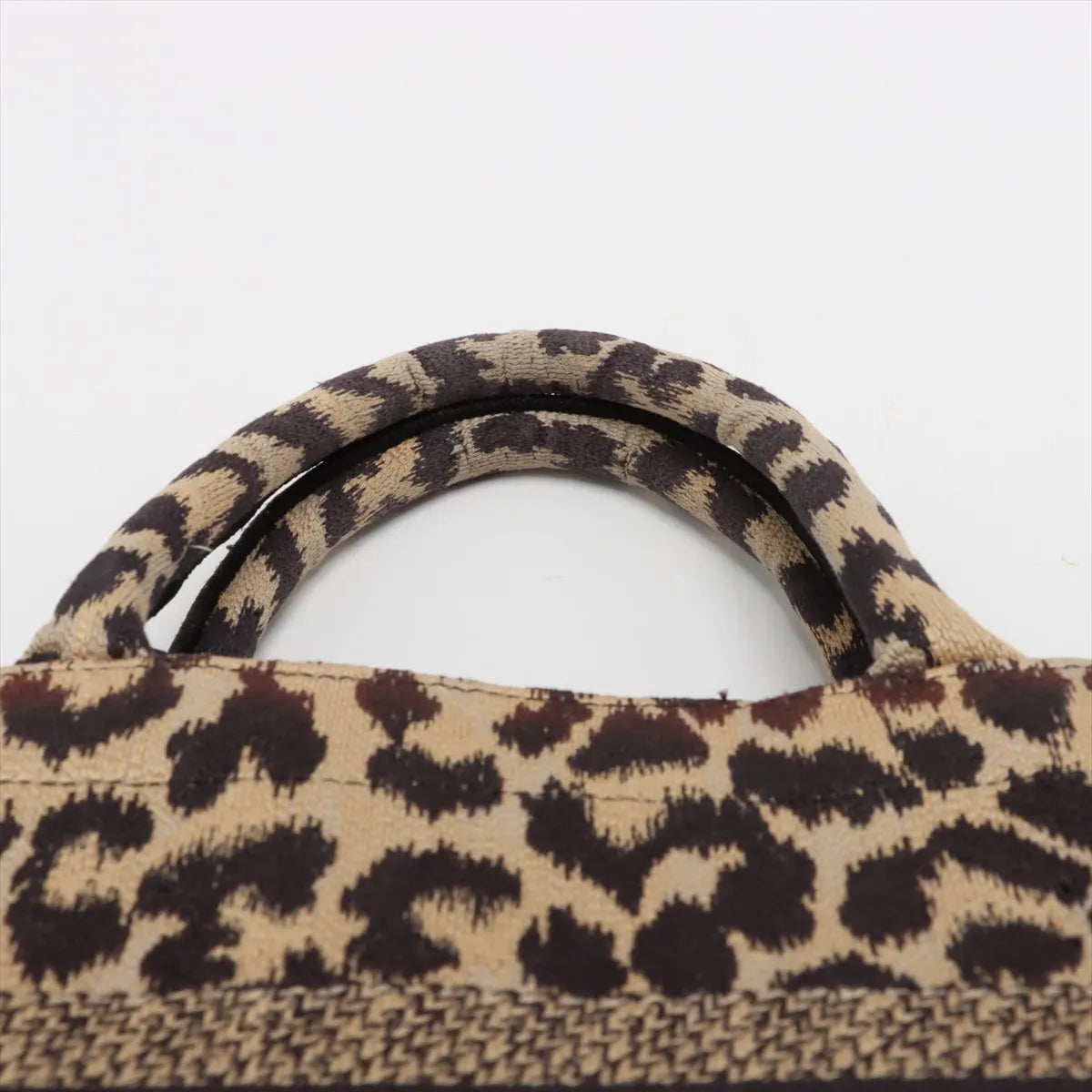 Christian Dior Leopard Small Canvas Book Tote Bag