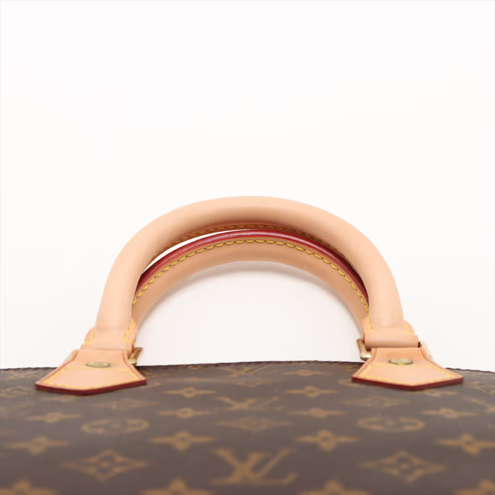 Louis Vuitton Monogram Alma