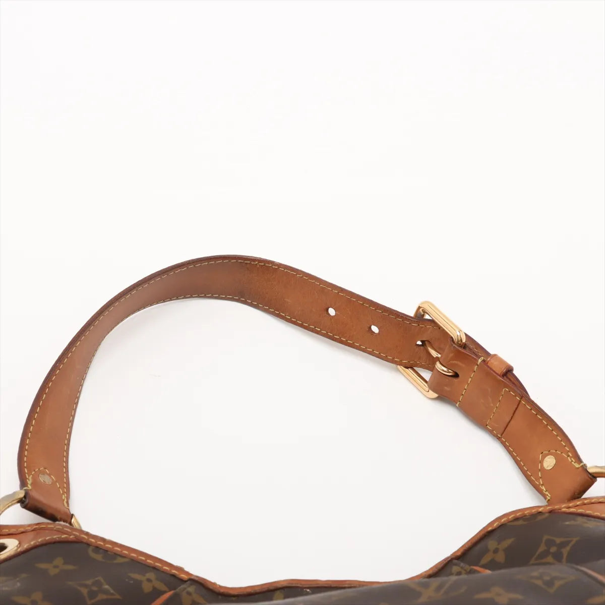 Louis Vuitton Monogram Galliera PM