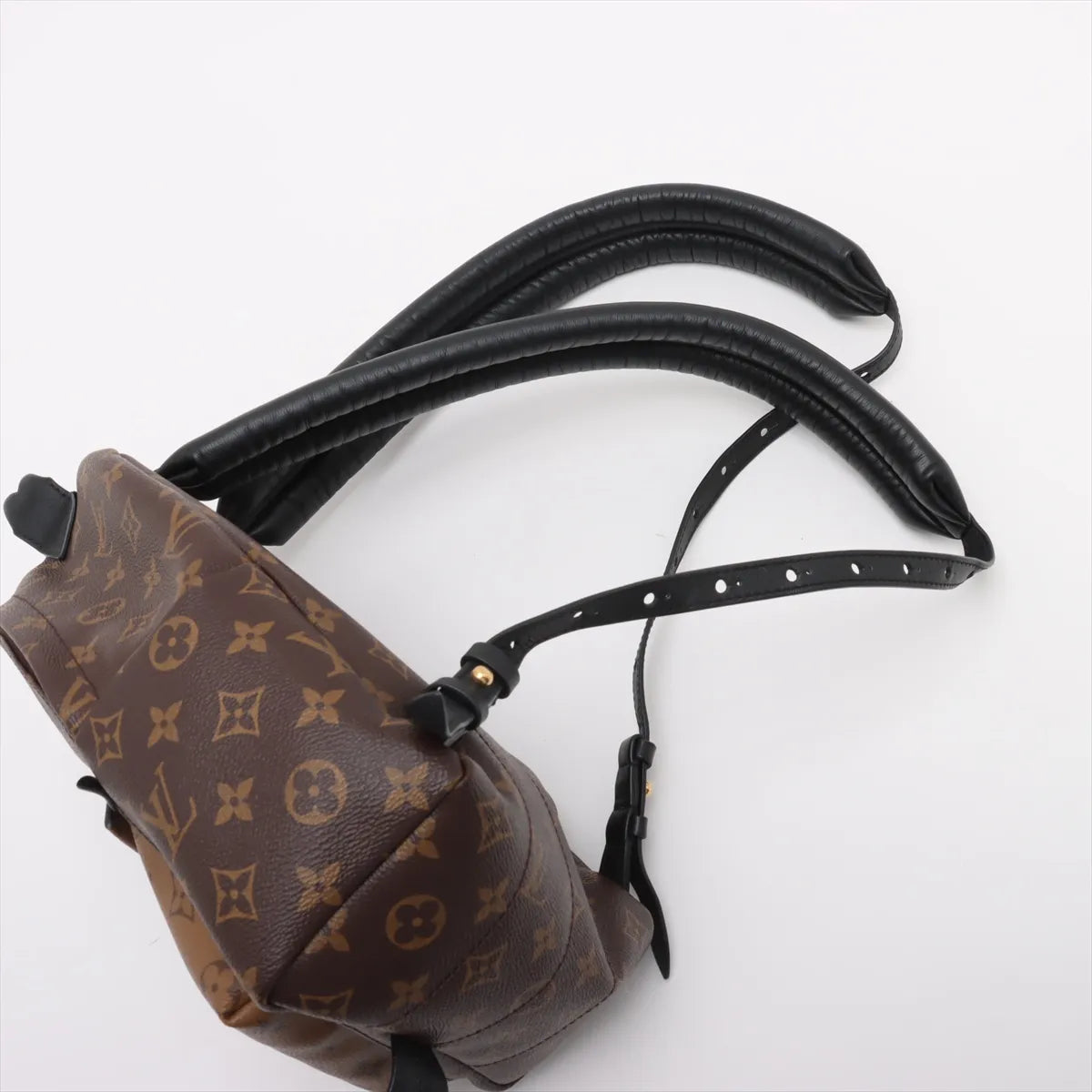 Louis Vuitton Monogram Reverse Palm Springs Backpack PM