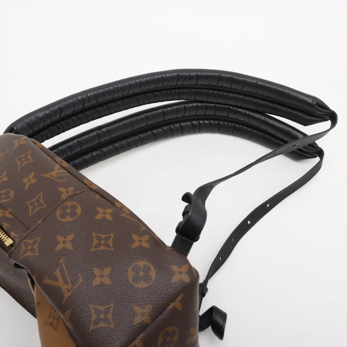 Louis Vuitton Monogram Reverse Palm Springs Backpack PM