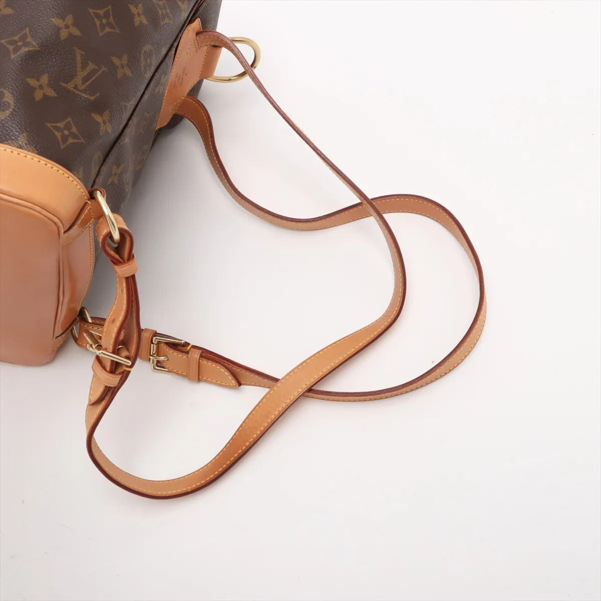 Louis Vuitton Monogram Montsouris MM