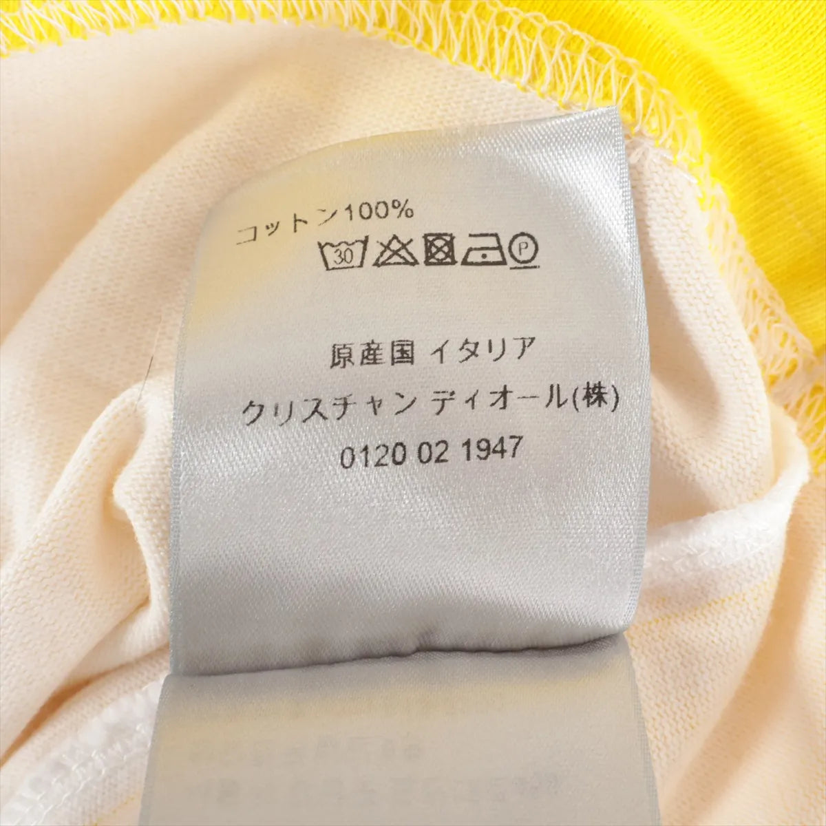 Dior x Shawn Stussy Cotton T-shirt Yellow