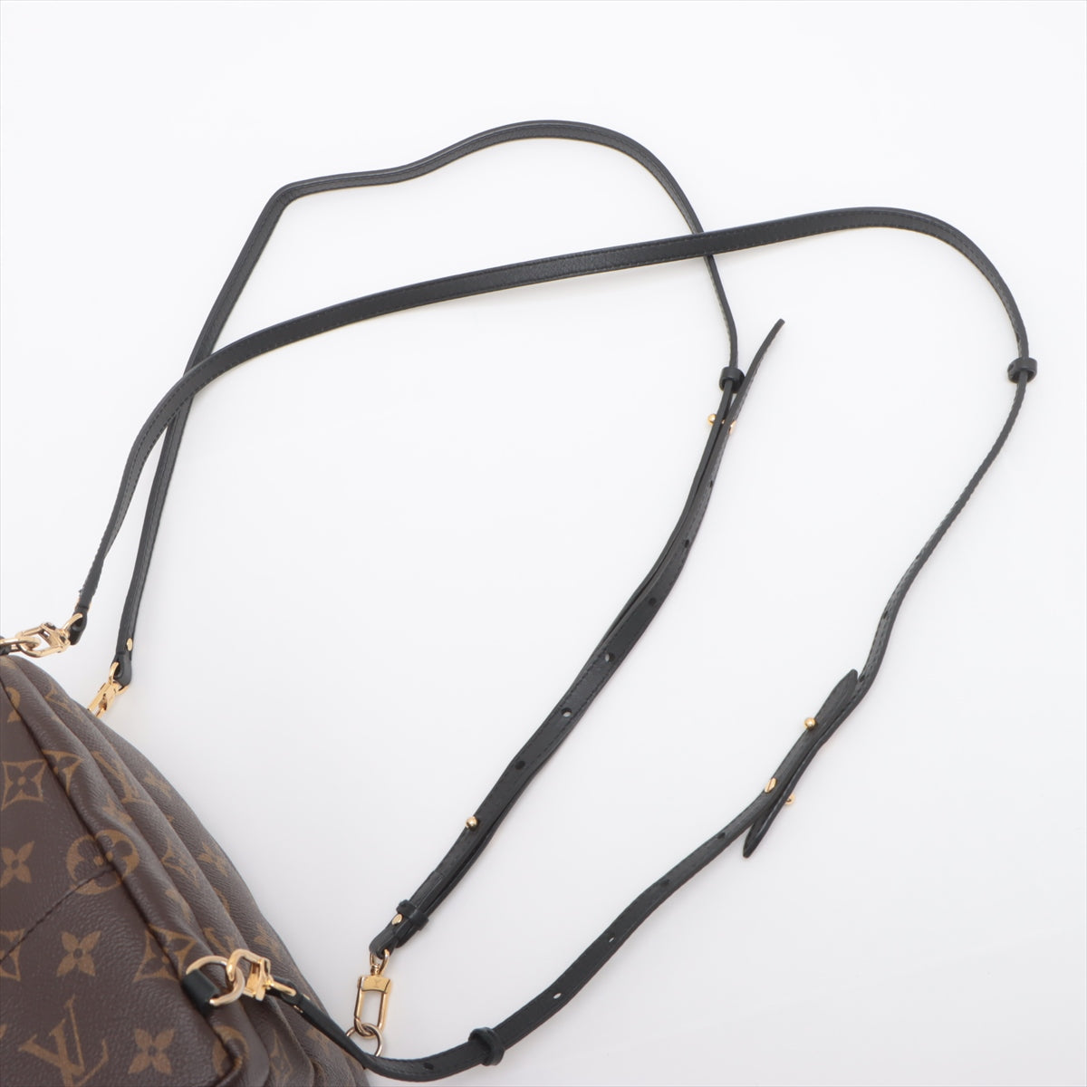 Louis Vuitton Monogram Palm Springs Mini Backpack * PREORDER *