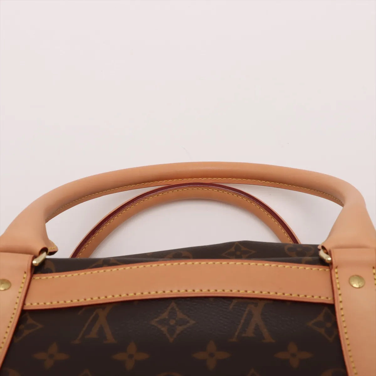 Louis Vuitton Monogram Dog Bag