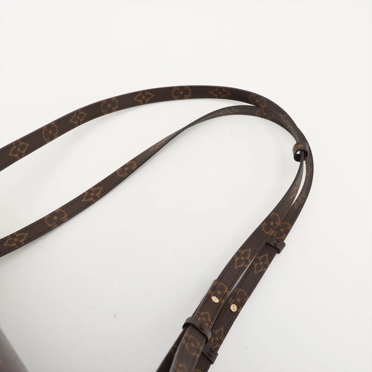 Louis Vuitton Monogram Excursion PM