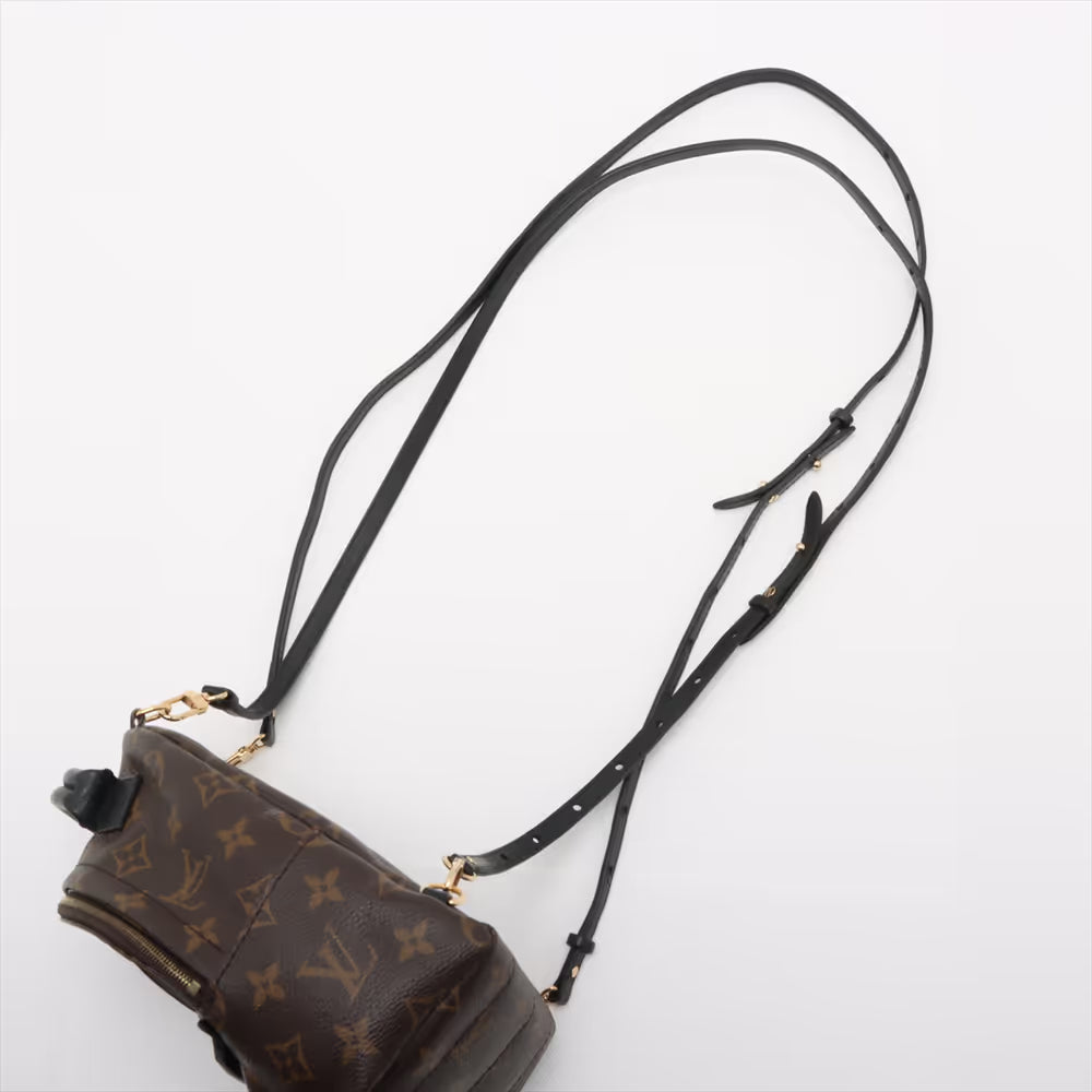 Louis Vuitton Monogram Palm Springs Mini Backpack