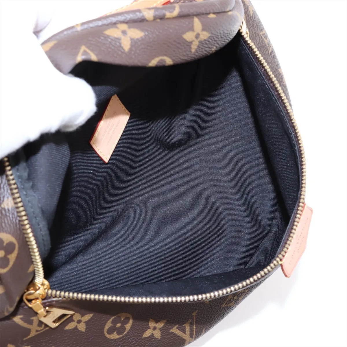 Louis Vuitton Monogram Bum Bag