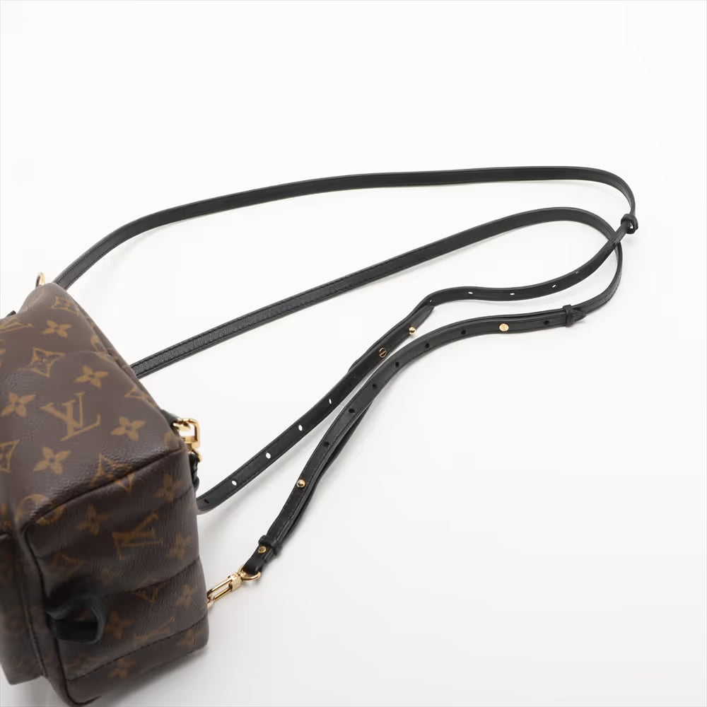 Louis Vuitton Monogram Mini Palm Springs Backpack