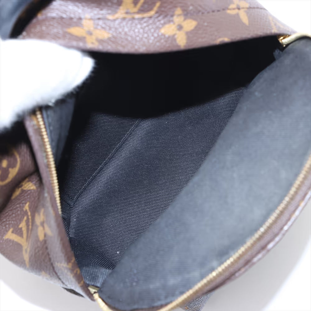 Louis Vuitton Monogram Mini Palm Springs Backpack