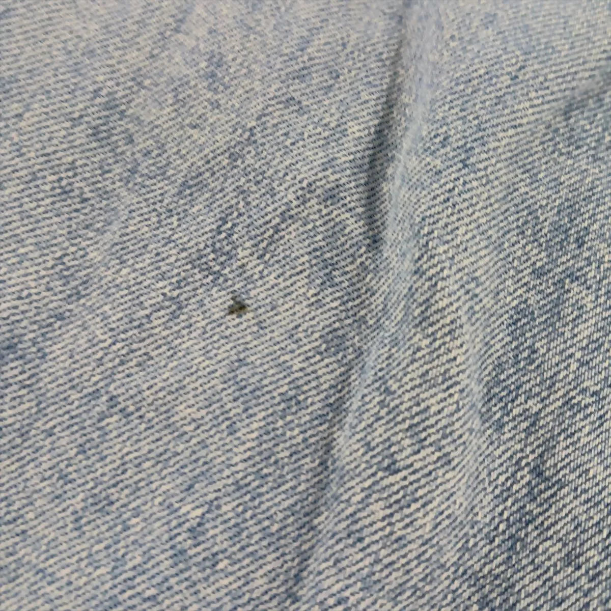 Gucci Cotton Denim Pants Blue