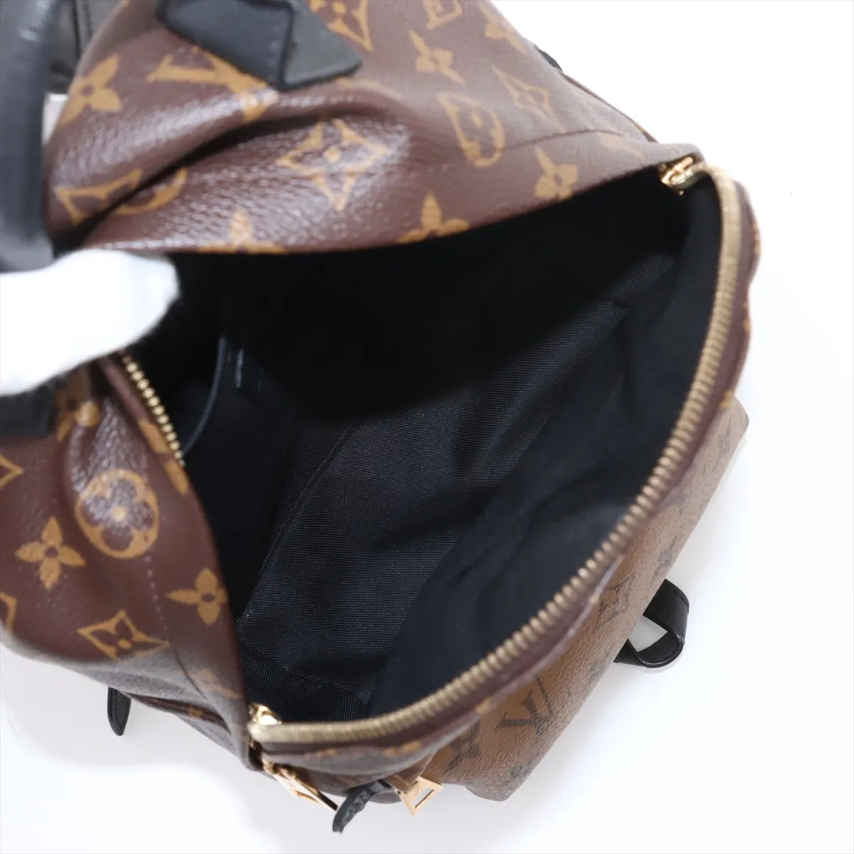 Louis Vuitton Monogram Reverse Palm Springs Backpack PM