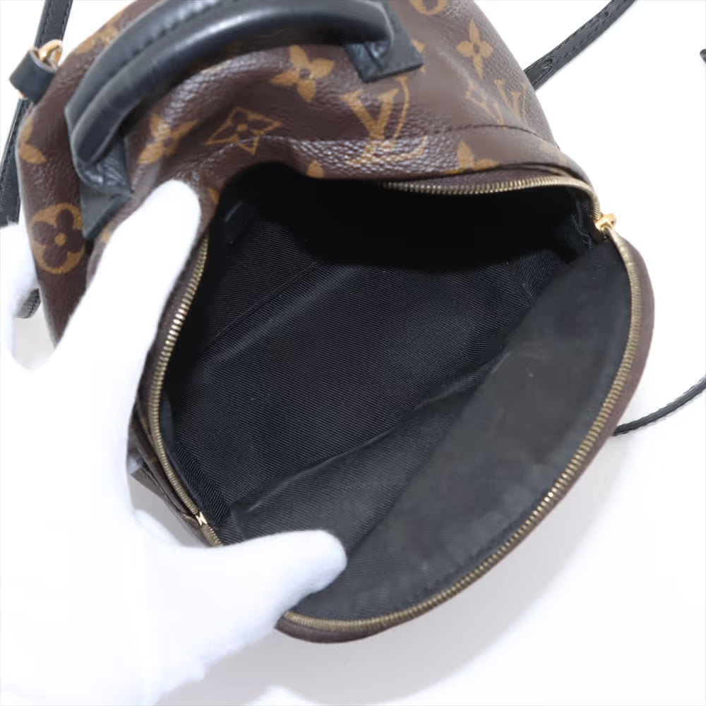 Louis Vuitton Monogram Palm Springs Mini Backpack