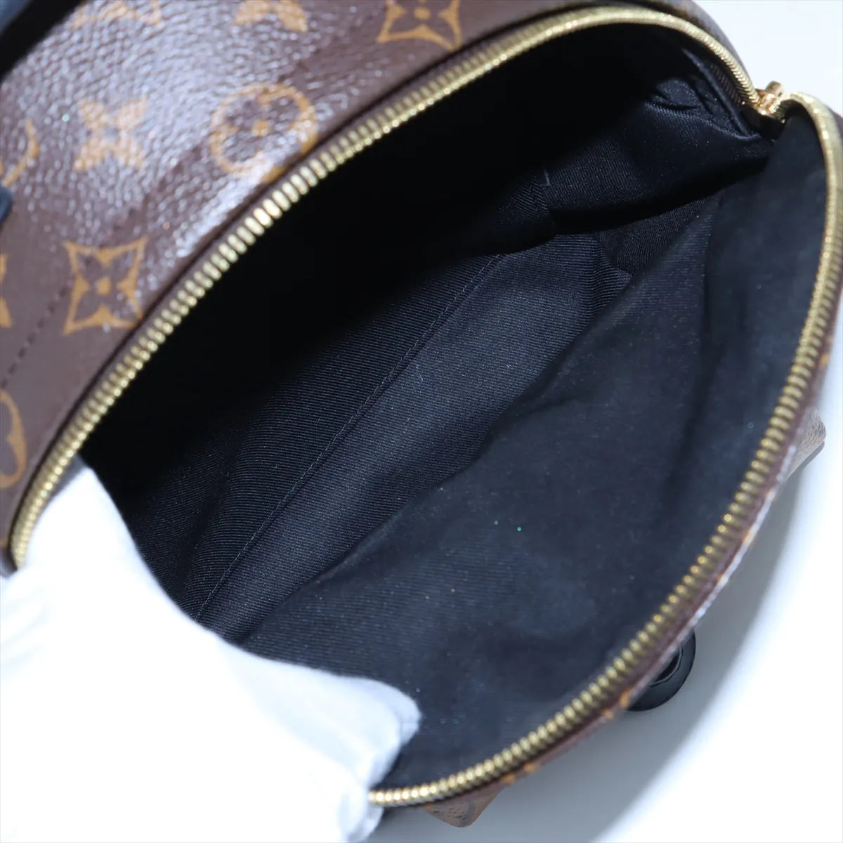 Louis Vuitton Monogram Reverse Palm Springs Backpack PM