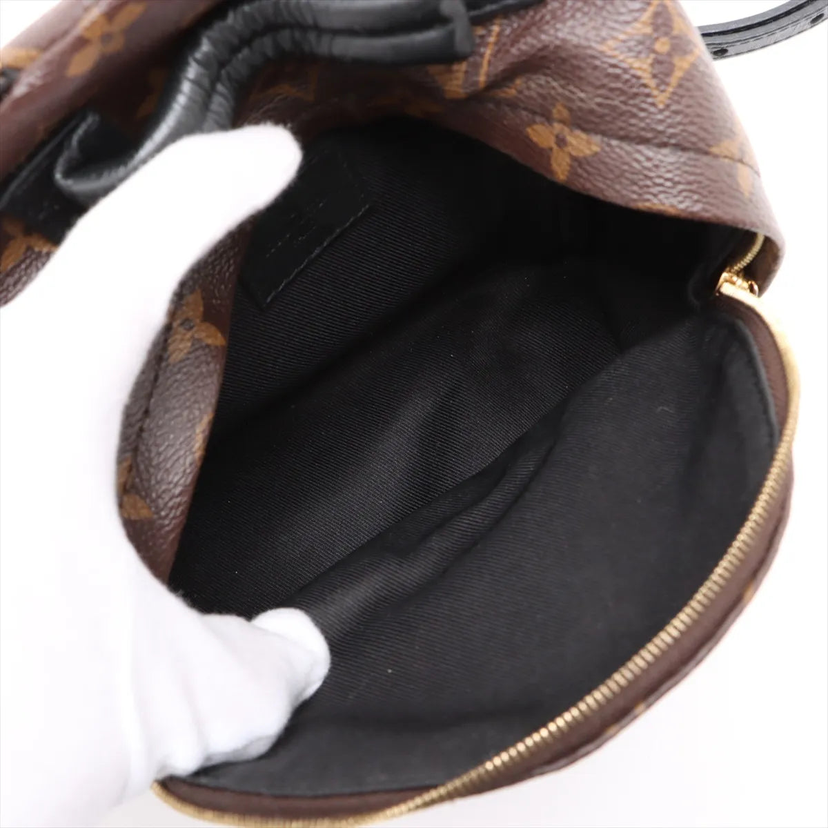 Louis Vuitton Monogram Palm Springs Mini Backpack