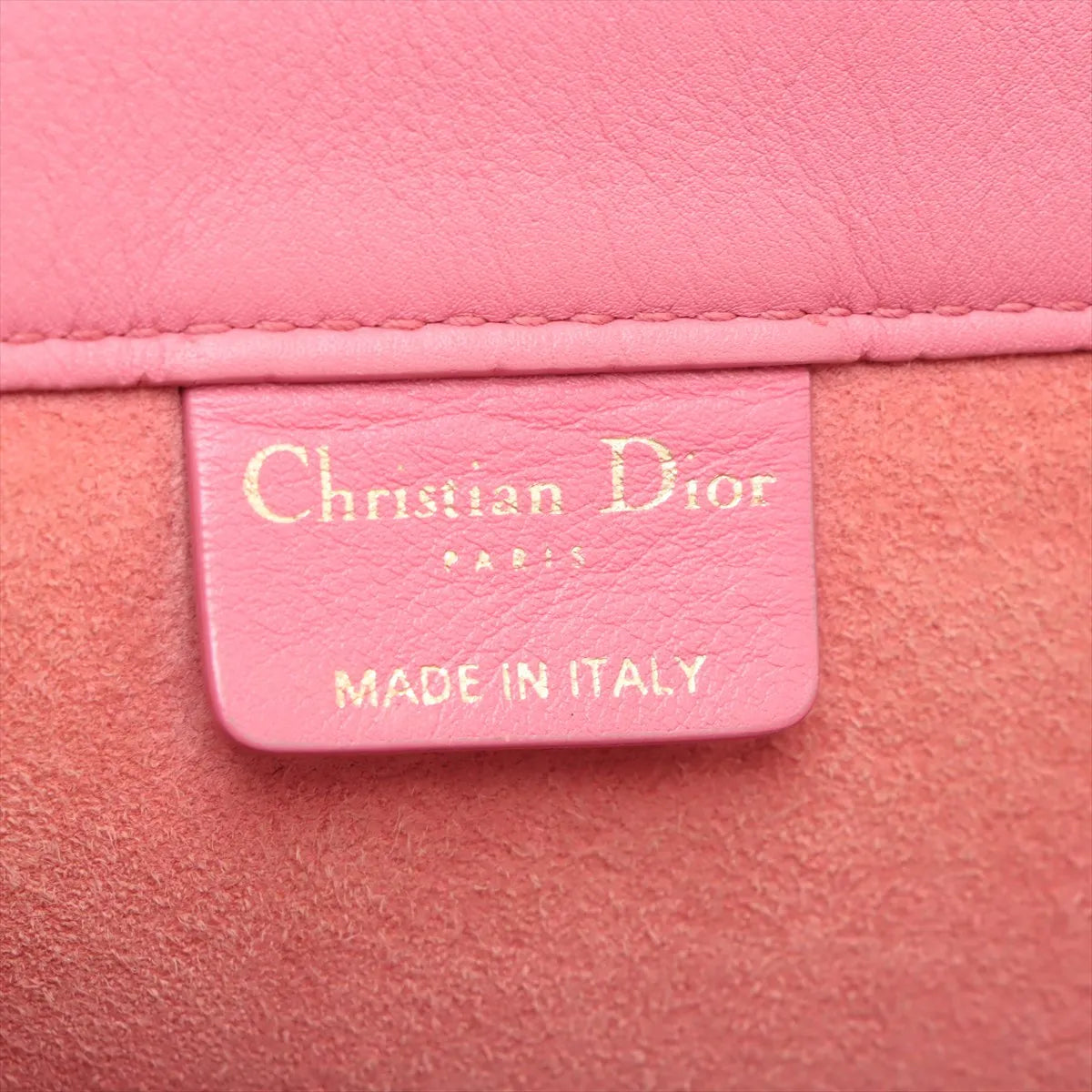 Christian Dior Book Tote Medium Leather Tote Bag Pink