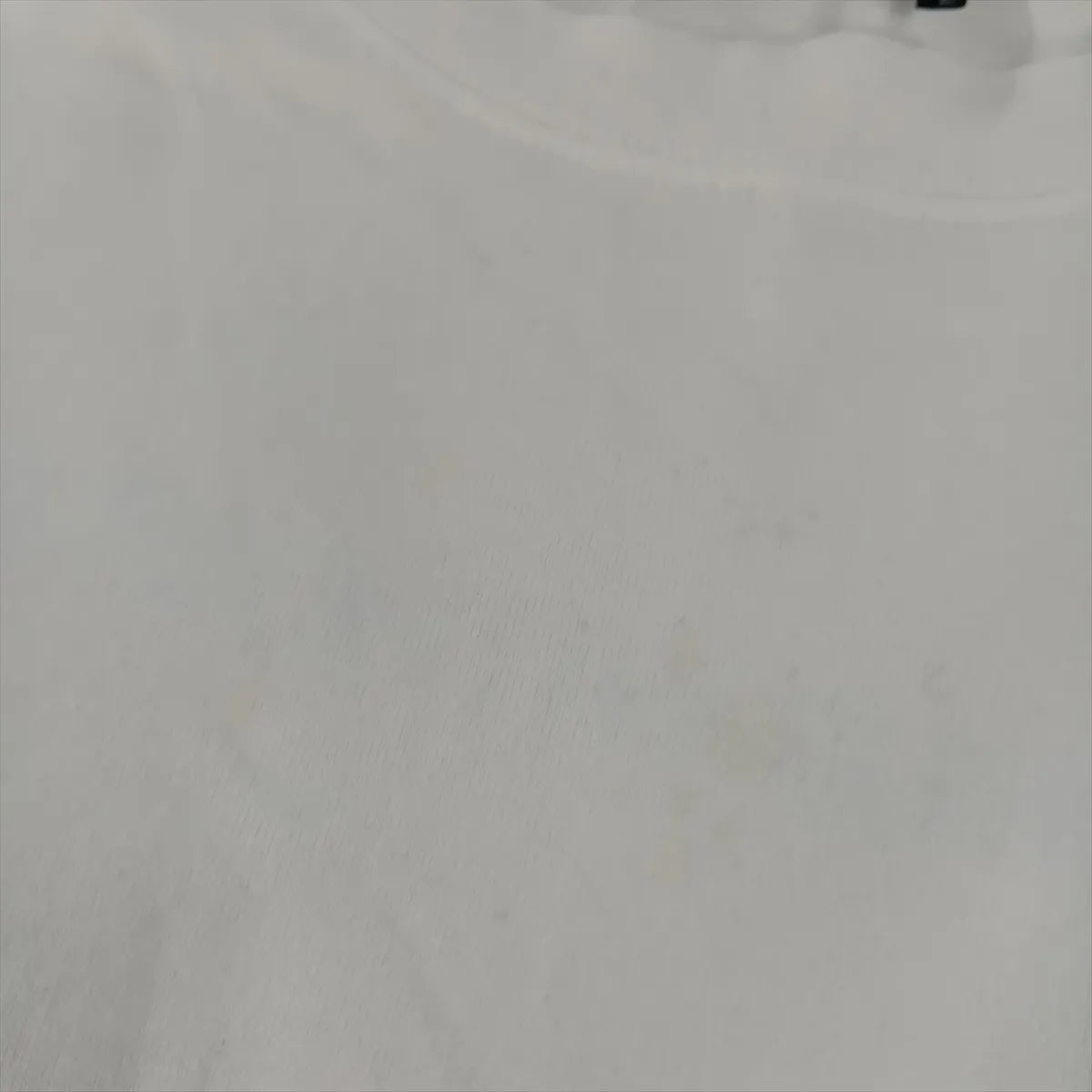 Balenciaga x WFP Cotton T-shirt White