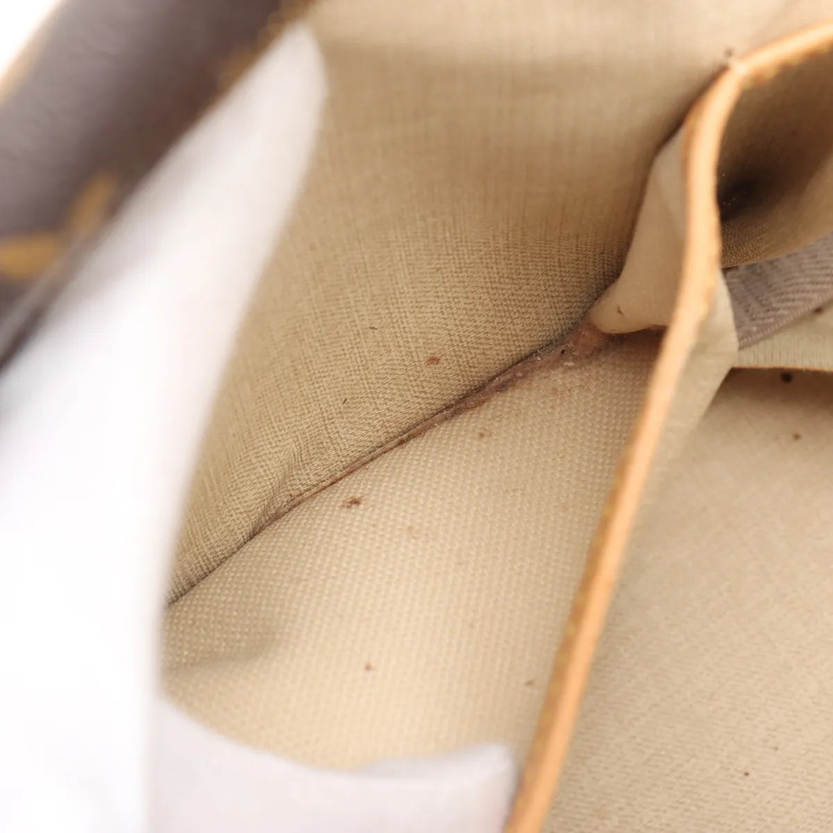 Louis Vuitton Monogram Deauville